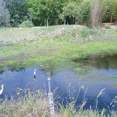 Pilmaiquen Villa Riachuelo ภายนอก รูปภาพ