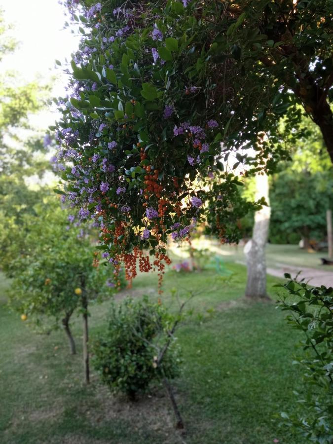 Pilmaiquen Villa Riachuelo ภายนอก รูปภาพ