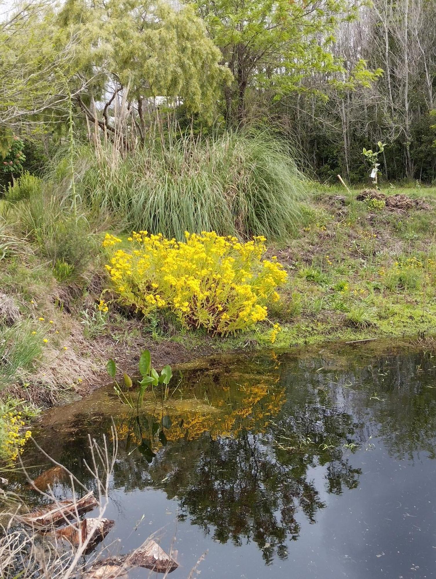 Pilmaiquen Villa Riachuelo ภายนอก รูปภาพ