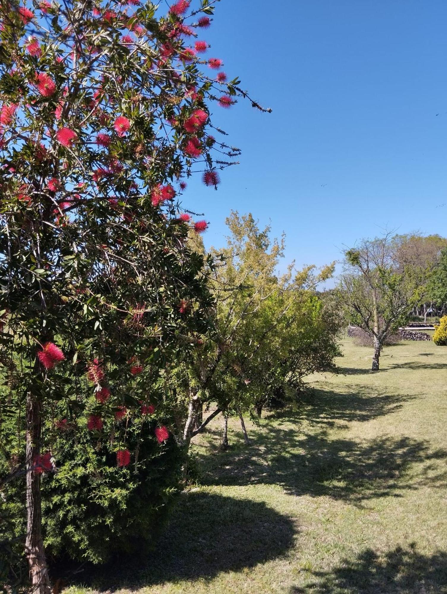 Pilmaiquen Villa Riachuelo ภายนอก รูปภาพ