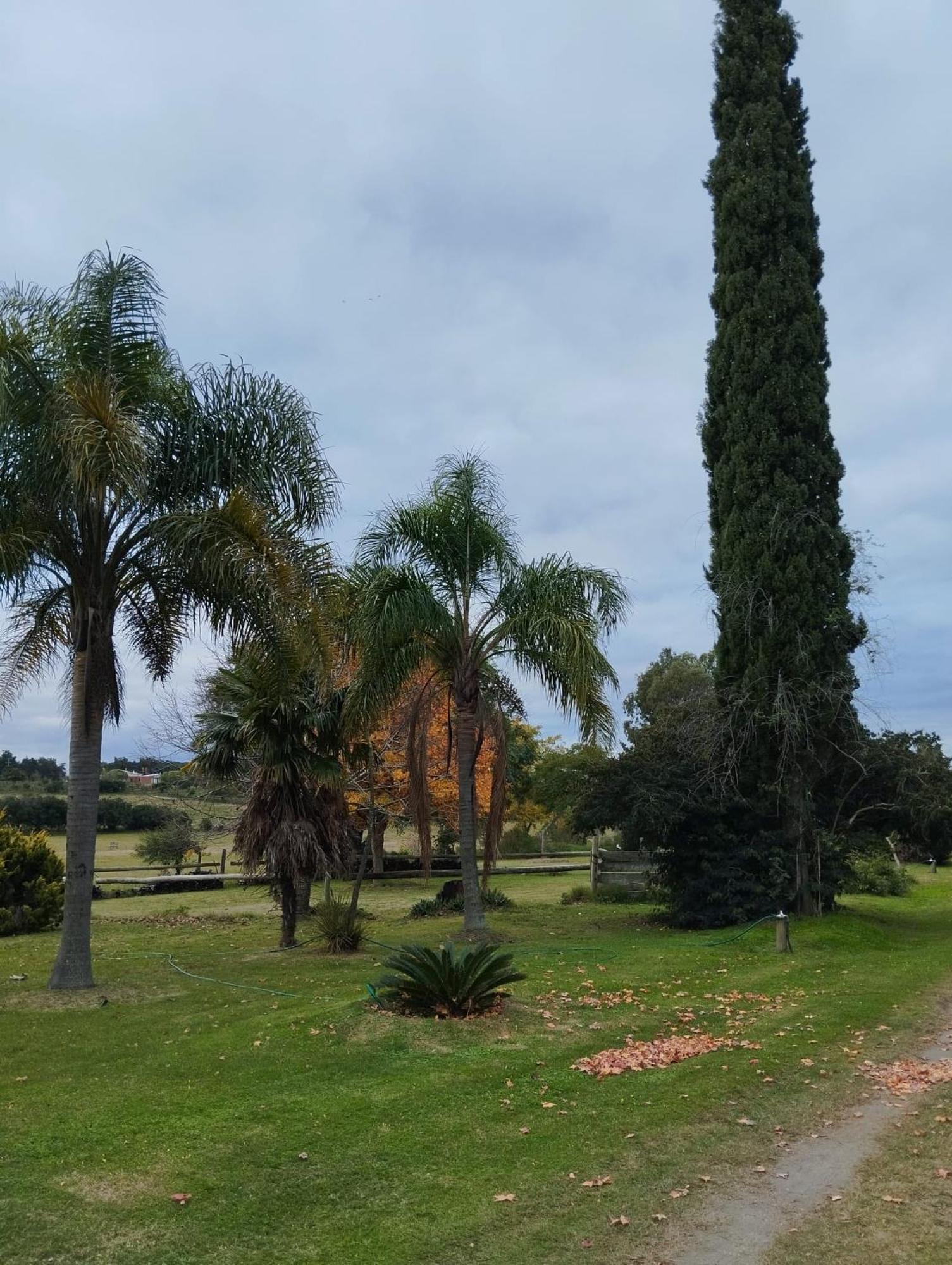 Pilmaiquen Villa Riachuelo ภายนอก รูปภาพ